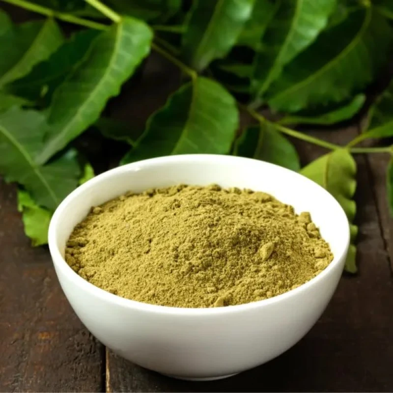 Basil Powder (তুলসী পাতার গুড়া) Tulshi – 100gm